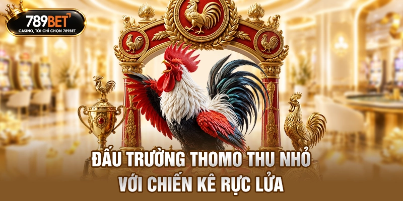 Đấu trường Thomo thu nhỏ với chiến kê rực lửa